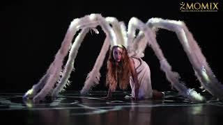 See MOMIX: Alice at UB Center for the Arts