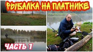 В первый раз поехали на Платную рыбалку. Пермский край ,Очерский район,рыбаловная база ШИТИКИ.ЧАСТЬ1