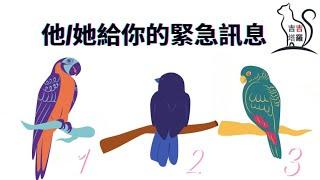 【#2068】【塔罗·字卡·占卜】他/她給你的緊急訊息 | 紋理塔羅牌 | 天使指引神諭卡 | 神話與人魚：水之神諭卡 | 彩虹卡 (無時間限制)