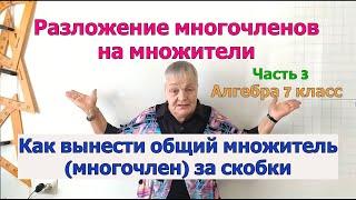 Как вынести общий множитель (многочлен) за скобки. Разложение многочленов на множители. Часть 3. 7кл