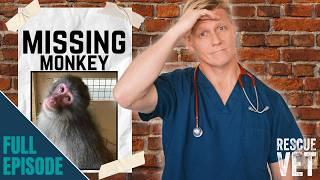 Huge search and rescue mission! Escaped monkey on the run in Highlands | Rescue Vet with Dr Scott