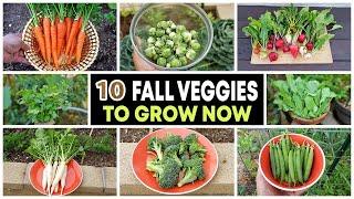 Top 10 Vegetables to grow in Fall & through Winter