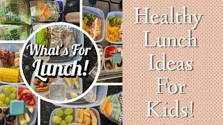 Healthy Packed lunch For Kids | Packed lunch Ideas | What I Gave My Children For The Week