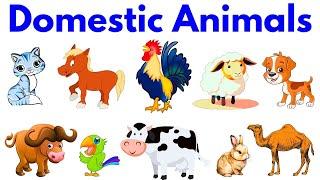 Domestic Animals | Domestic Animals Sounds | domestic animals name | animals name #animals #domestic