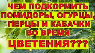 Рецепт СУПЕР!!! Подкормка для 100% завязи томатов, перцев...