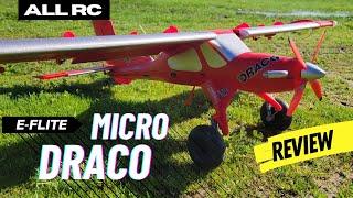 Maiden: E-Flite Micro Draco