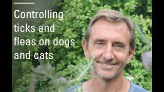 How to control ticks and fleas on dogs and cats - sustainably.