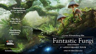 Fantastic Fungi REMASTERED | Trailer | Louie Schwartzberg   