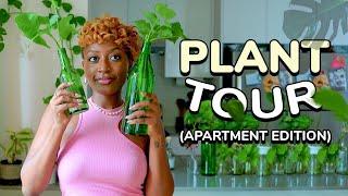 Apartment Plant Tour: 40+ Plants + Tips from a plant mom