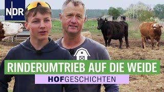 7000 qm nur mit Pfingstrosen | Hofgeschichten: Leben auf dem Land (333) | NDR