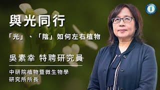 與光同行：『光』、『陰』如何左右植物 | 吳素幸特聘研究員