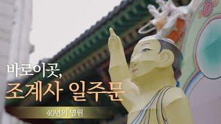 바로 이곳, 조계사 일주문 #조계사 #일주문 #출발점