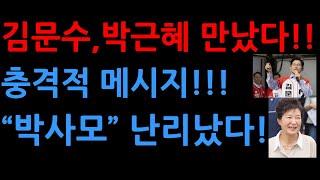 김문수,박근혜 만났다!! 충격적 메시지!!! “박사모” 난리났다!