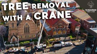 Emergency tree removal using a crane