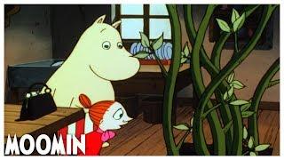 The Magic Hat | EP 2 I Moomin 90s #moomin #fullepisode