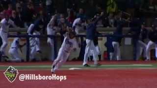 Elvin Soto's Game Winning Hit