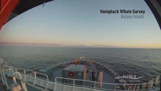 Voyage aboard the NIWA research vessel Tangaroa