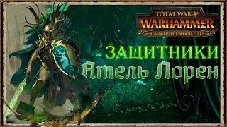 Защитники Атель Лорен - Стражи полян | Total War: Warhammer Lore