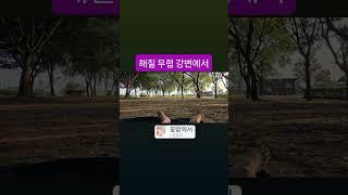 송샘의 라이프 스킬         70%만 노력하고 살자는 말은 30%는 잘 놀자는 뜻이다           - 송샘생각 어떻게 생각하세요?