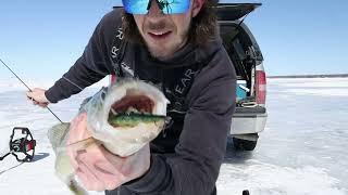 Ice Fishing Lake Winnipeg WALLEYE