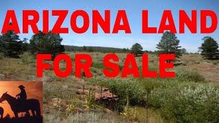 Owner Financed Land In Arizona