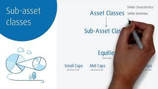 Sub-asset classes