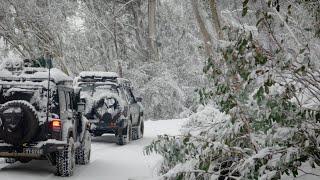 Victorian High Country 2019 - Track II