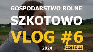 Zielony ciągnik zamiast różowego kabrio // VLOG#6 GRSzkotowo cz. II