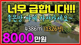 너무 급합니다!! 6만원에 가져가세요~~ 4386㎡ (1327평)