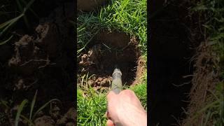 what a start  #hobby #metaldetecting #metaldetector #passion #treasurehunt