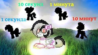 СКИН ЗА 1 СЕКУНДУ, 10 СЕКУНД, 1 МИНУТУ И 10 МИНУТ В PONY TOWN