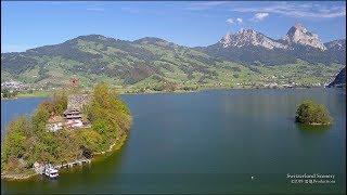 4K Lake Lauerzersee Schwyz SWITZERLAND 湖 アルプス山脈