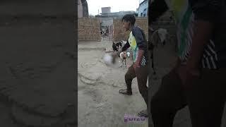 https://youtube.com/@kripalkumar5636