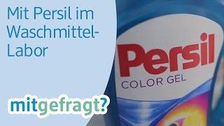 Wäsche sauber waschen: Im Waschmittel-Labor von Persil - dm mitgefragt?  Folge 25