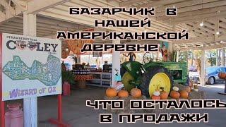 НАШ СЕЗОННЫЙ БАЗАРЧИК  В АМЕРИКАНСКОЙ ДЕРЕВНЕ ЧТО ОСТАЛОСЬ В ПРОДАЖИ США