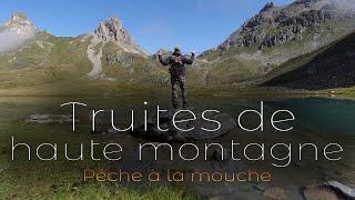 Truites de haute montagne (pêche à la mouche sur la CLAREE, la NEUVACHE et le LAC DES CERCES.