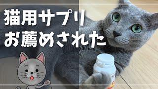 二度目の血液検査の結果、尿素窒素は下がっているのか？【ロシアンブルー】猫用サプリ エネアラ