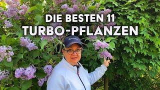 Die 11 AM SCHNELLSTEN wachsenden Pflanzen für deinen Garten