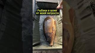 Рыбаки в шоке от этой хитрости на рыбалке #рыболовная #fishing #рыбалка