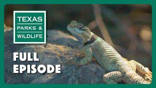 PBS Show - Devils River Opening & More
