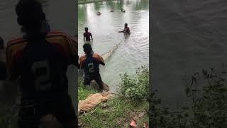 #trending #shorte video#Ak Akash vlogs bd #viral rails#viral shorts#koimascaspoddoty#koimas