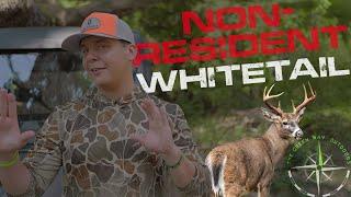 Top 3 Non-Resident States For Whitetail Deer Hunting - The Green Way Outdoors