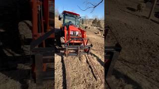 Still tearing out the old stuff | #homestead #farmlife #country #kubota #kunekune #animals #pig