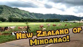 BUKID LIFE | NEW ZEALAND OF MINDANAO | BEAUTIFUL SCENERY |