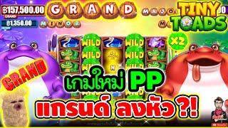 เกมใหม่PP แกรนด์ ลง หัว !!! │Tiny Toads / pragmatic play