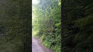 #краса #nature #гармония #карпати #природа