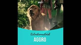 Slang: Aggro (meaning, example, pronunciation, movie clip)