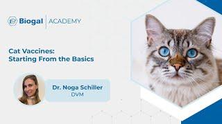 Cat Vaccines: Starting From the Basics