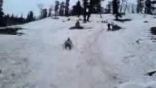 NABHA DHURI PAMMI BAI ROLLING IN MANALI HILS