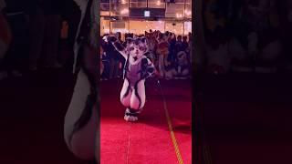 【Fursuit Dance】银碳Gintan - NewJeans 'HYPE BOY'